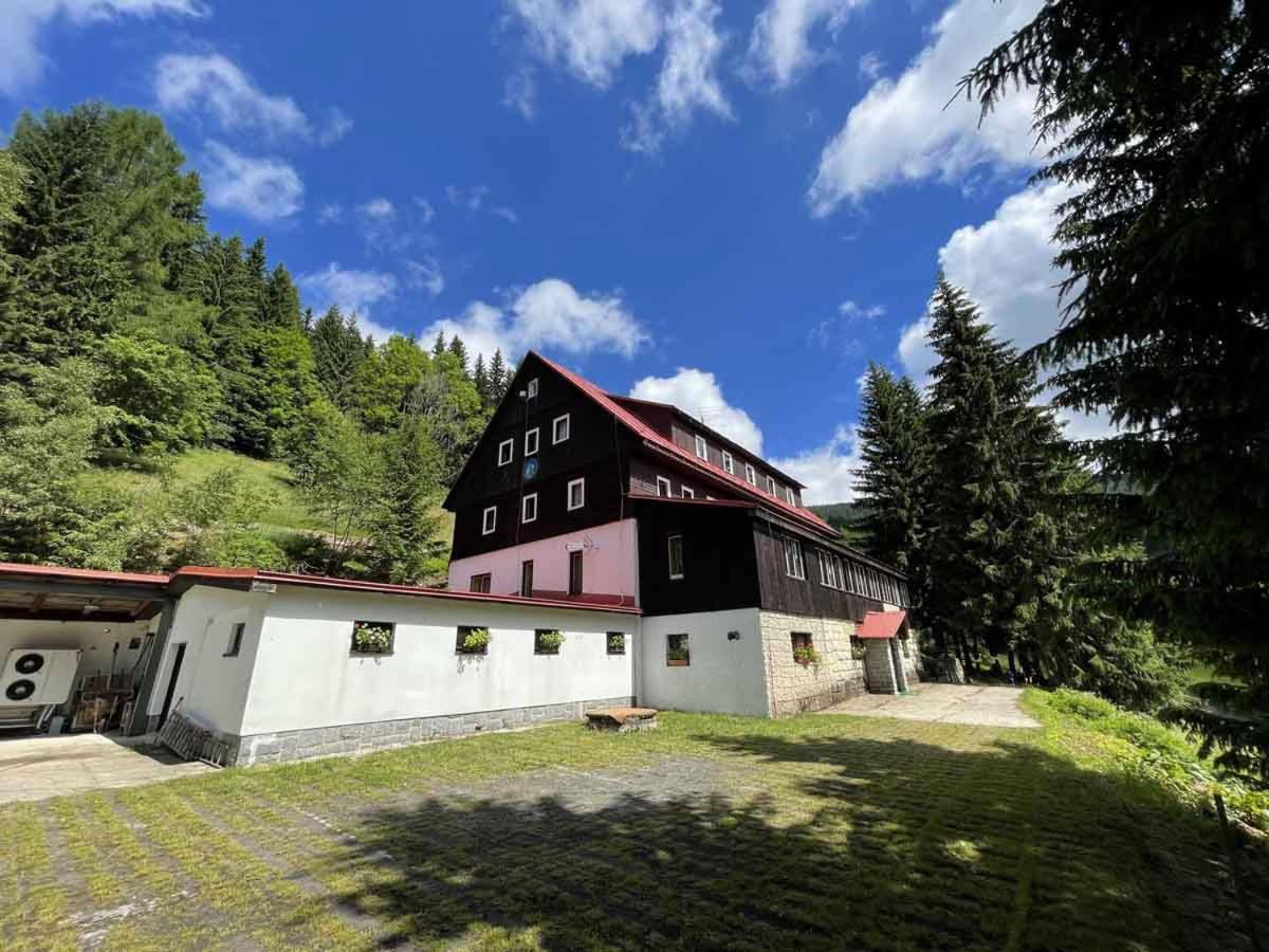 Hotel Flora Dolni Misecky Витковице Экстерьер фото