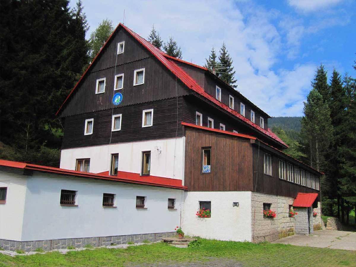 Hotel Flora Dolni Misecky Витковице Экстерьер фото