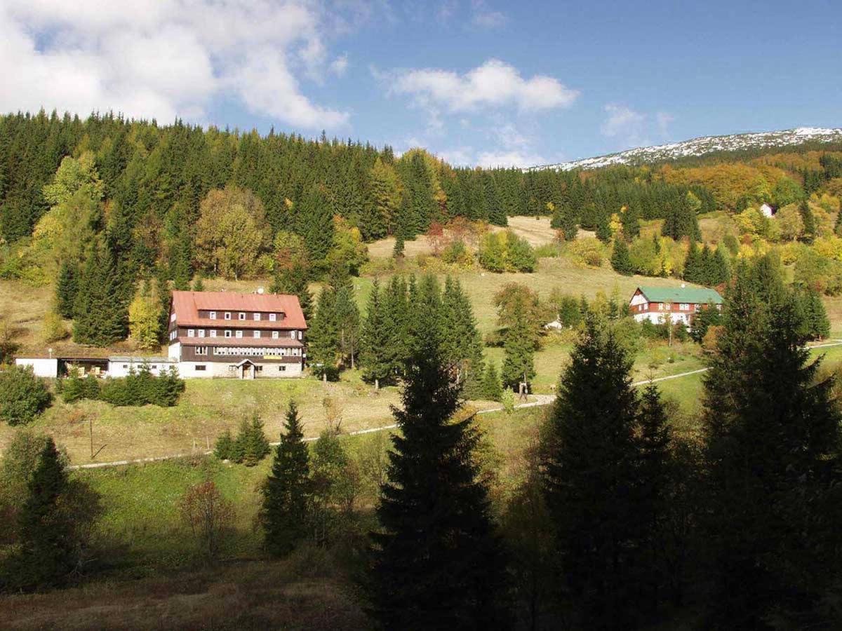 Hotel Flora Dolni Misecky Витковице Экстерьер фото