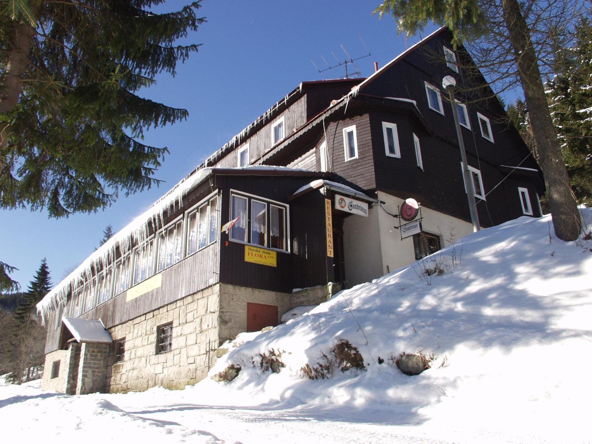 Hotel Flora Dolni Misecky Витковице Экстерьер фото