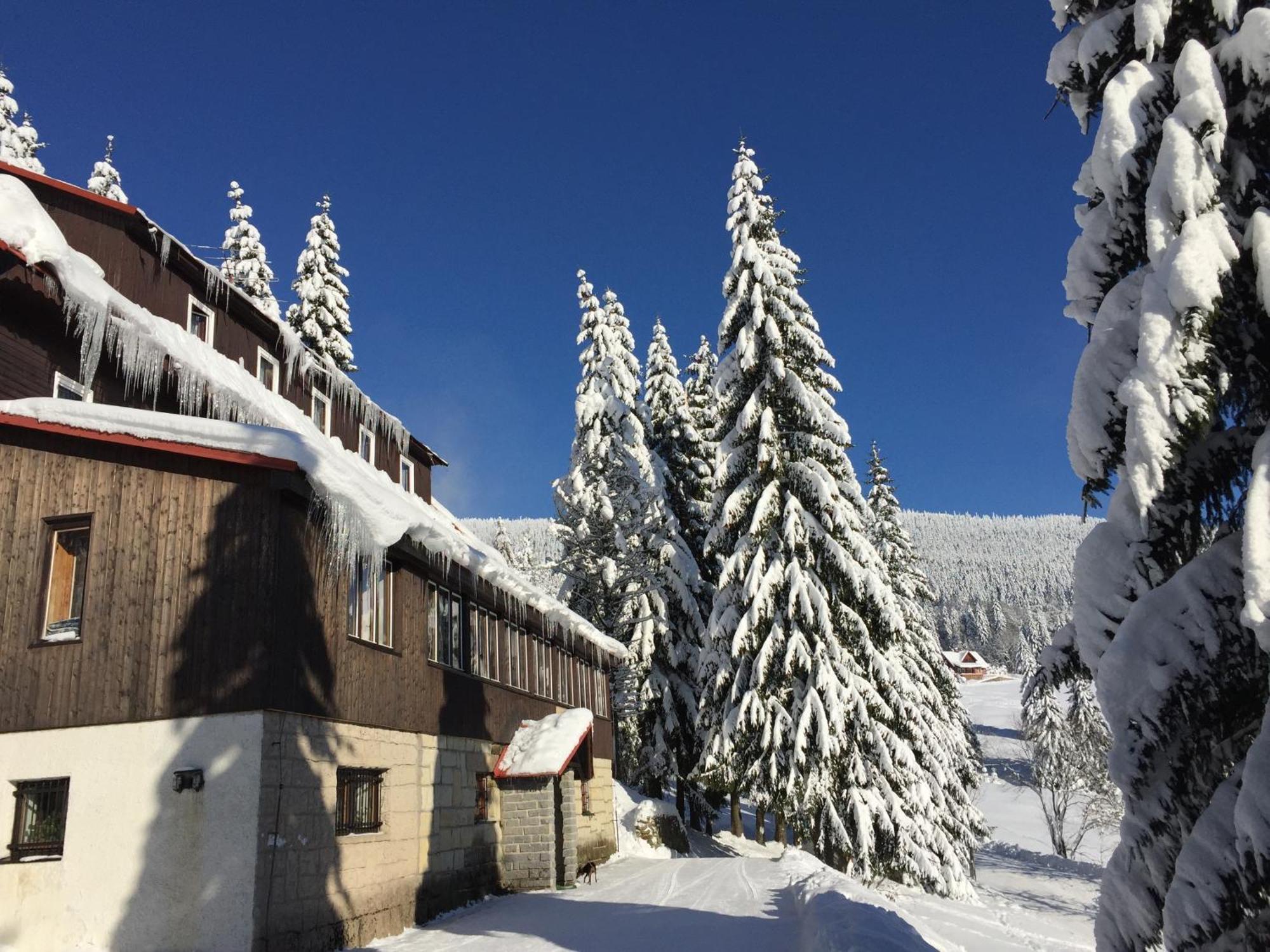 Hotel Flora Dolni Misecky Витковице Экстерьер фото