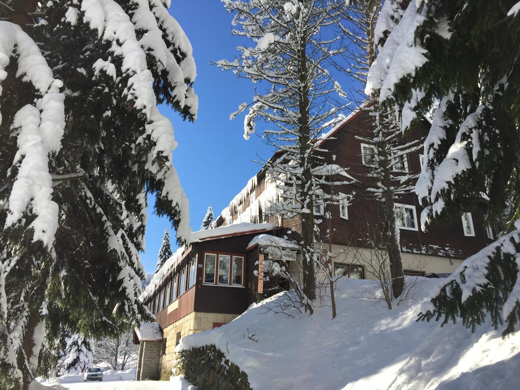 Hotel Flora Dolni Misecky Витковице Экстерьер фото