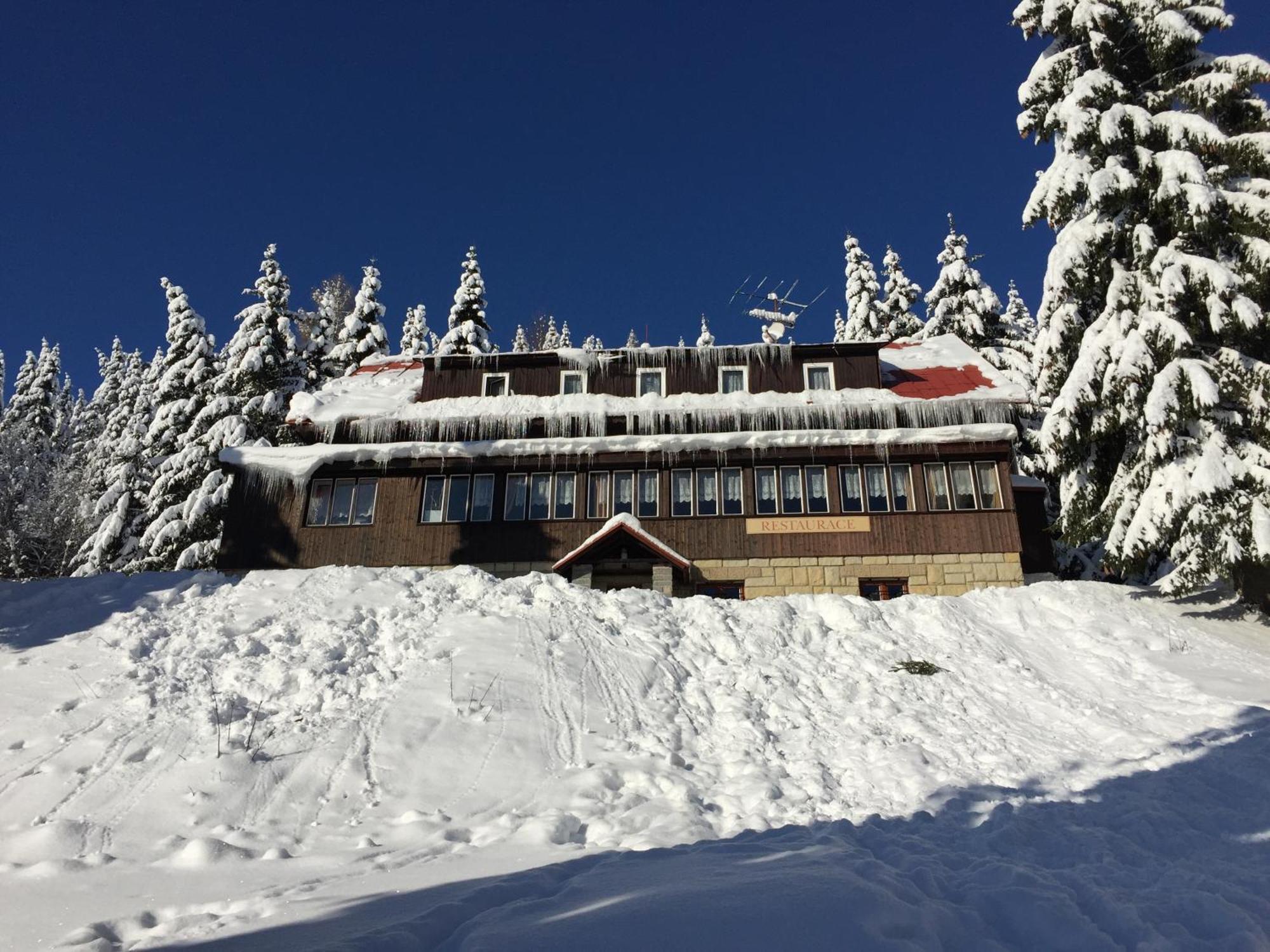 Hotel Flora Dolni Misecky Витковице Экстерьер фото